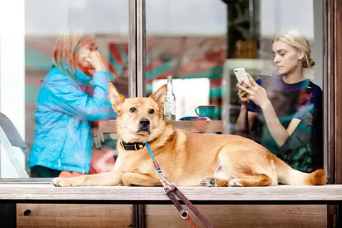 Entice Energy Advice for consumers and update on complaints