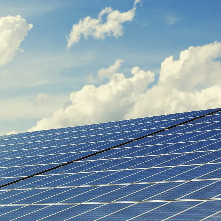 Green Deal Ombudsman